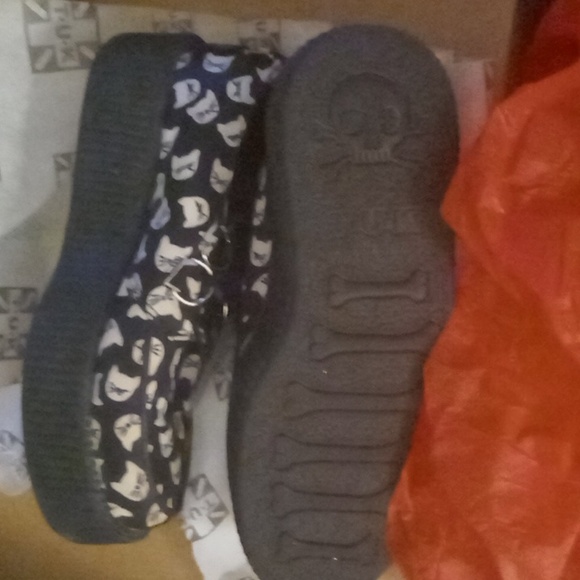 T.u.k. Kitten Creeper - Picture 3 of 4